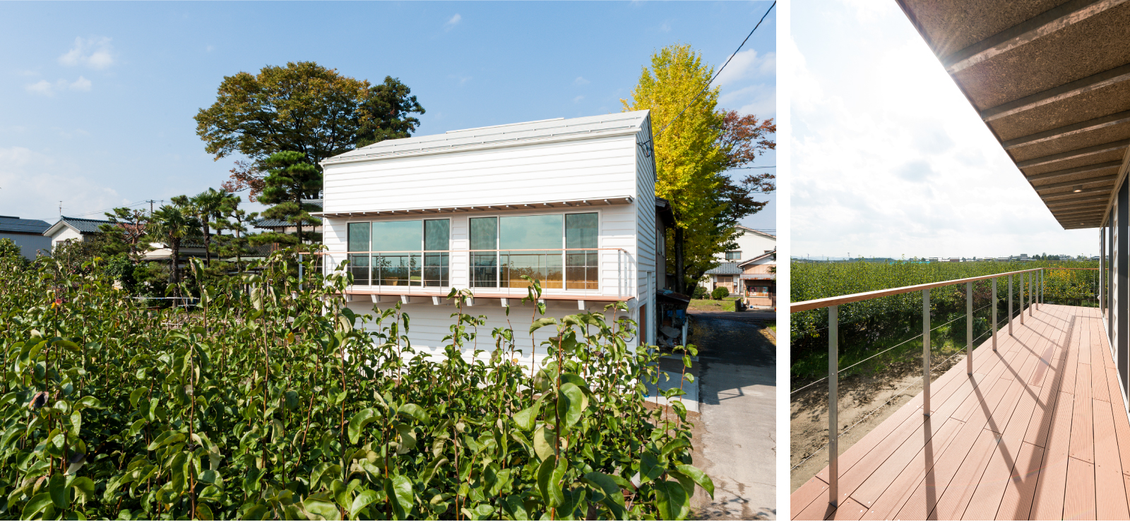 加茂市Nm_houseは梨畑に囲まれています。